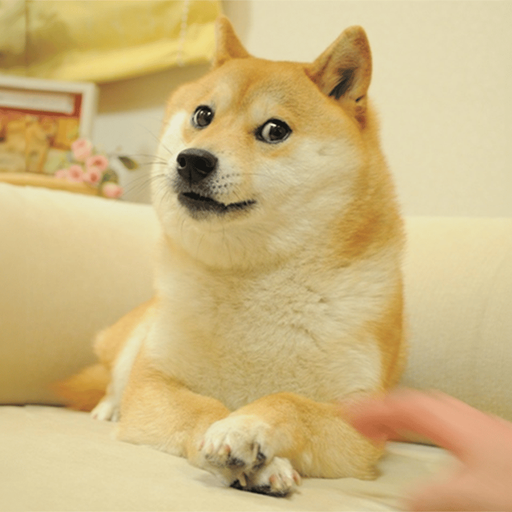 Dog Go To The Moon
