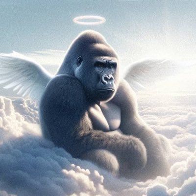 Harambe on Solana