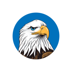 HAWK coin collapse