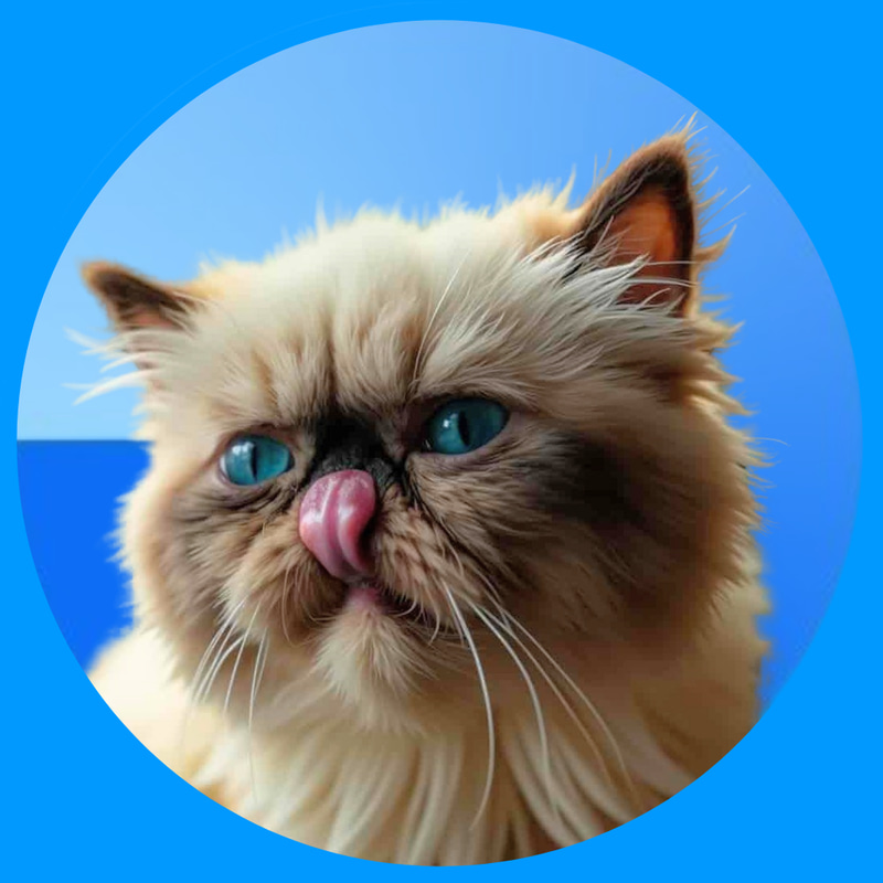 Mr. Miggles