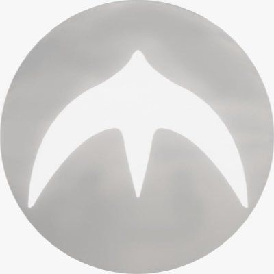 YZY coin launch